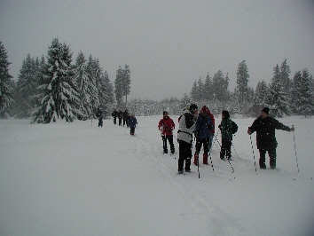 Ski