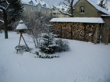 Weihnachtsbaum